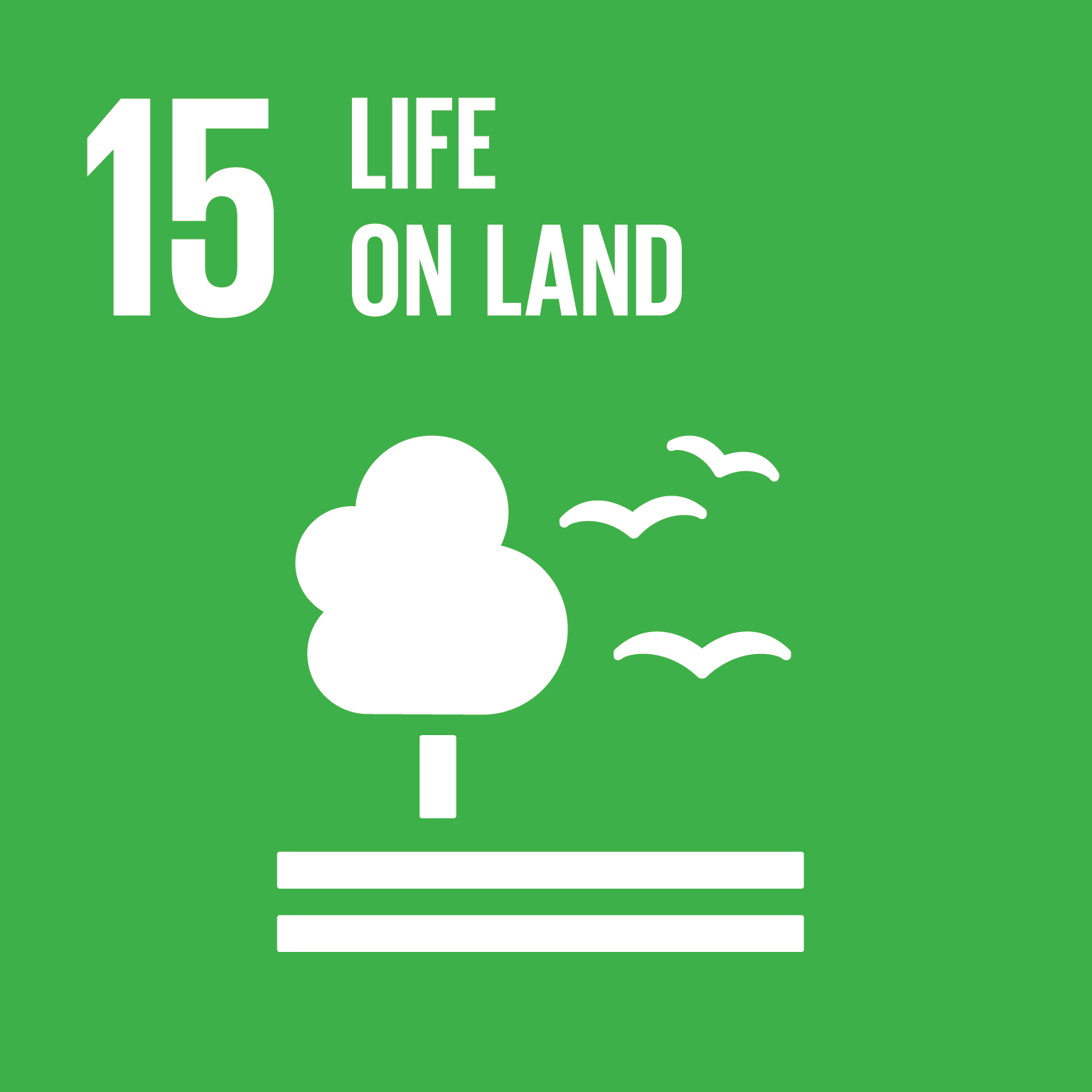 Protect, restore and promote sustainable use of terrestrial ecosystems, sustainably manage forests, combat desertification, and halt and reverse land degradation and halt biodiversity loss